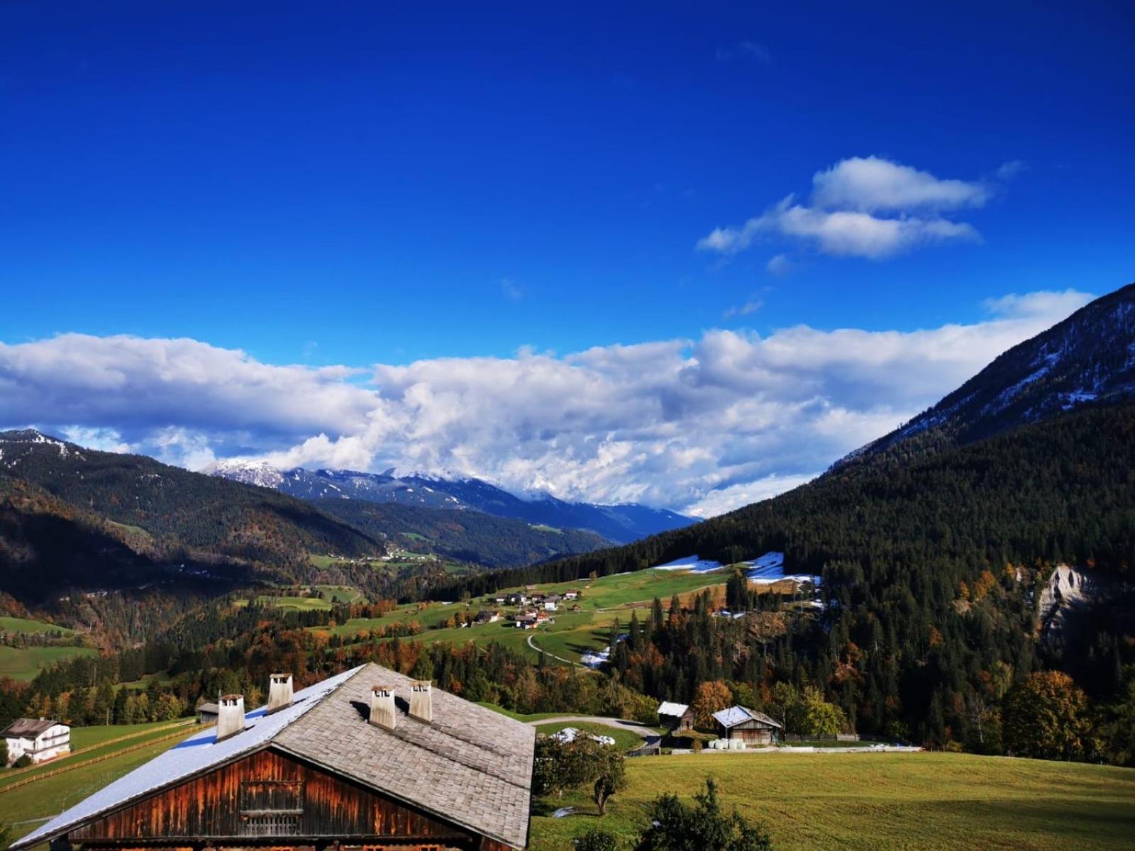 Haus Stabentheiner Daire Birnbaum Dış mekan fotoğraf